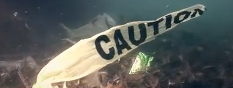 Plastik im Meer